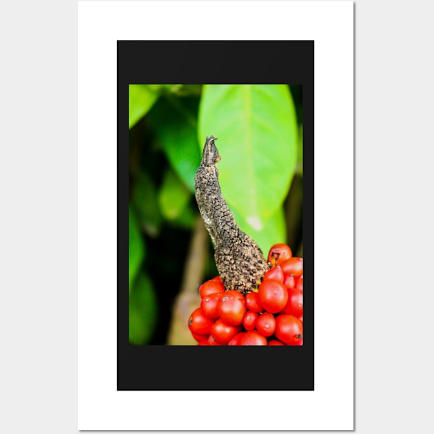 Red peppercorn with bird beak Wall Art by kall3bu